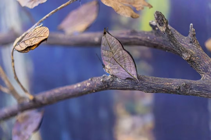 微信圖片_20241106103851.jpg 微信圖片_20241106103851.jpg