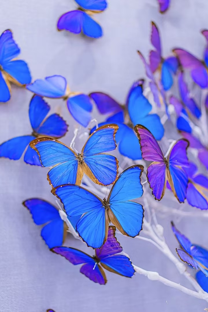 微信圖片_20241106103845.jpg 微信圖片_20241106103845.jpg